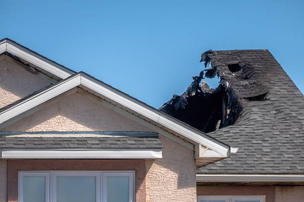 Top rated local Fire Damage Removal specialists in Euless, TX